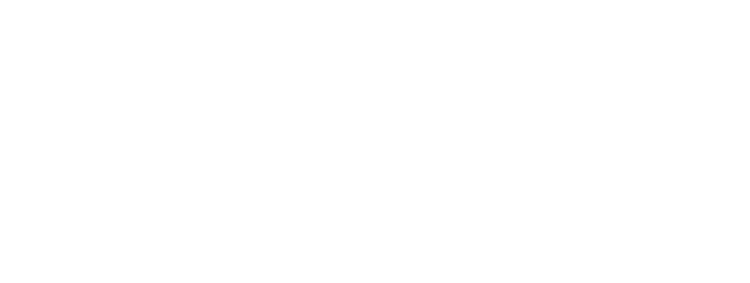 Belz Conecta Saúde